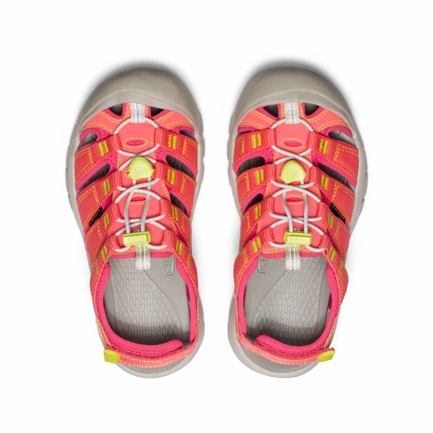 Big Kids' Newport Boundless Sandal  |  Dubarry/Evening Primrose Shoe Waterproof Spray Review