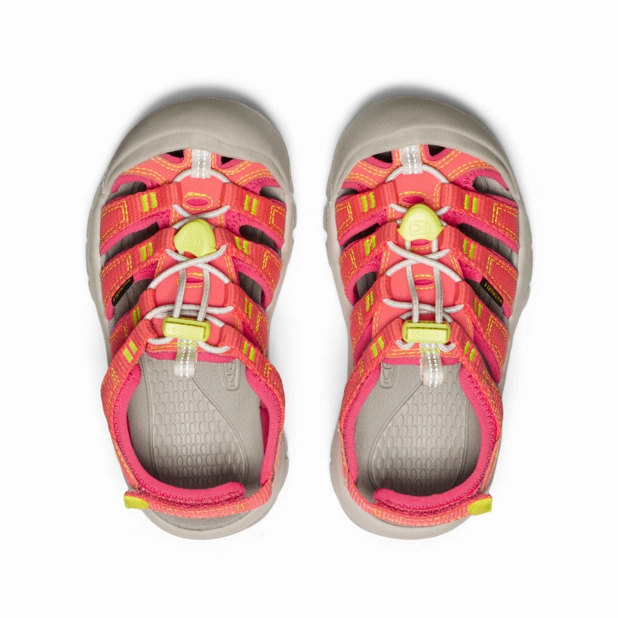 Little Kids' Newport Boundless Sandal  |  Dubarry/Evening Primrose Waterproof Cream For Shoes