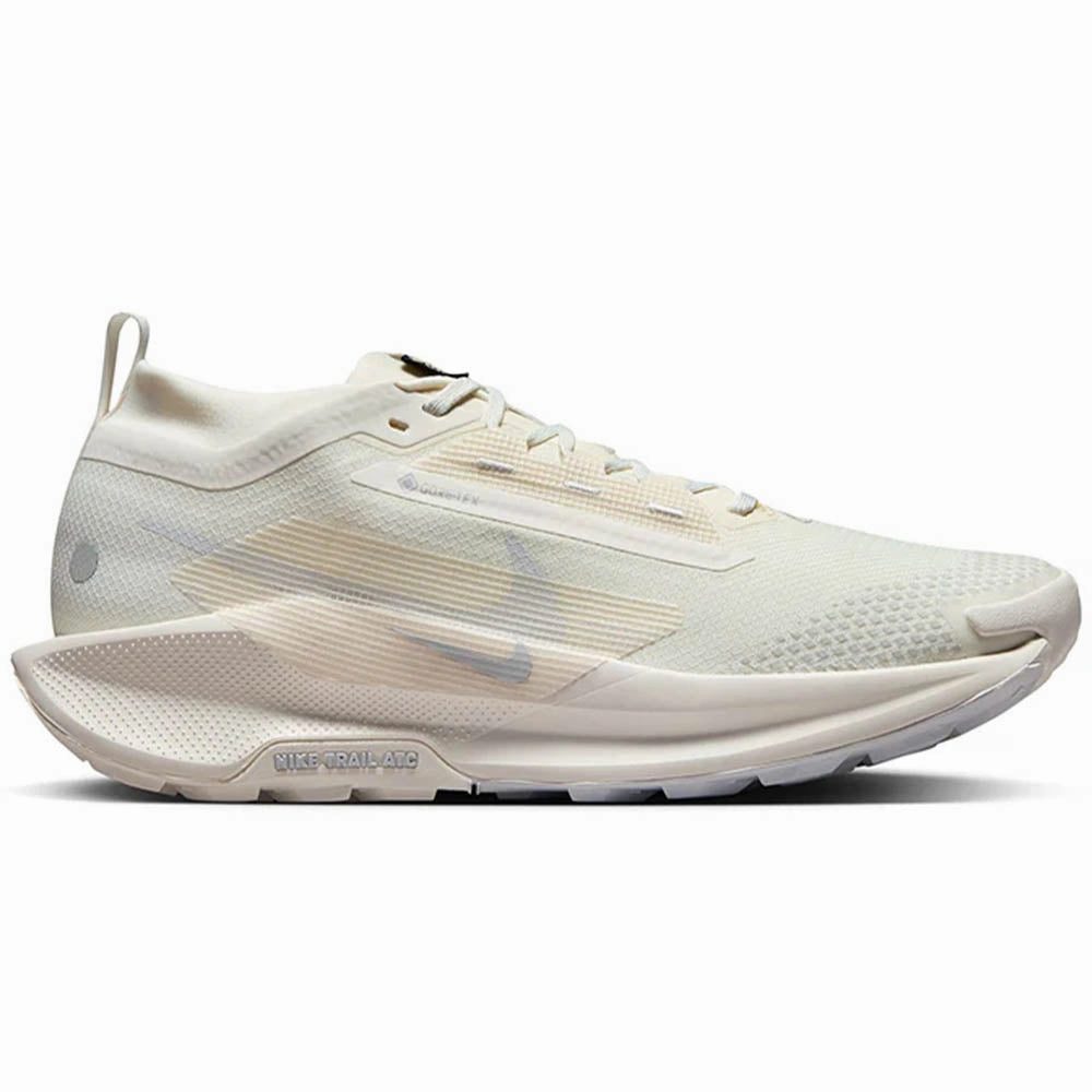 Men's Nike Pegasus Trail 5 GORE-TEX Charged Assert 9 Running Shoe