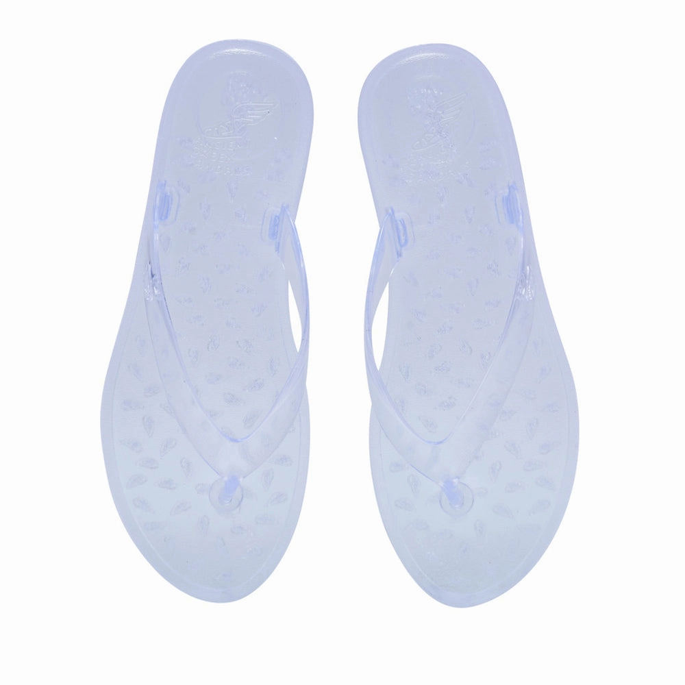 Jelly Flip Flop Clear Clog Sandals