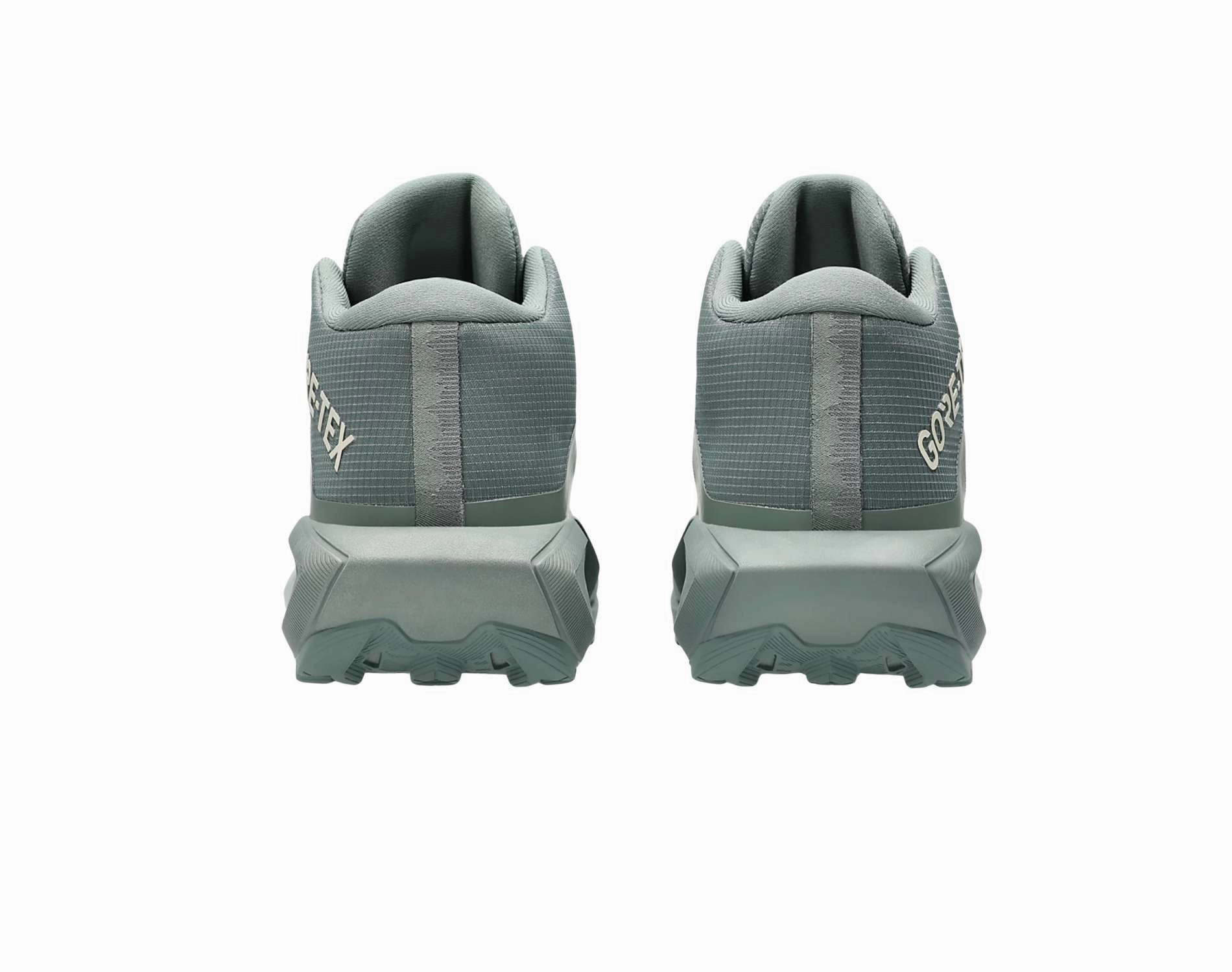 Asics GEL-Trabuco MT GTX Womens Trail Running Shoes Running Shoes For Tennis