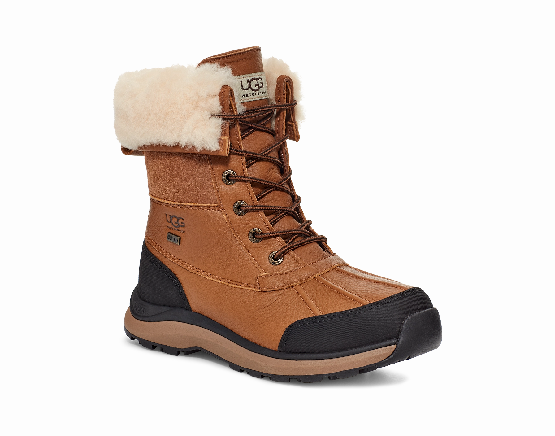 Dog In Snow Boots Women's Adirondack III Boot