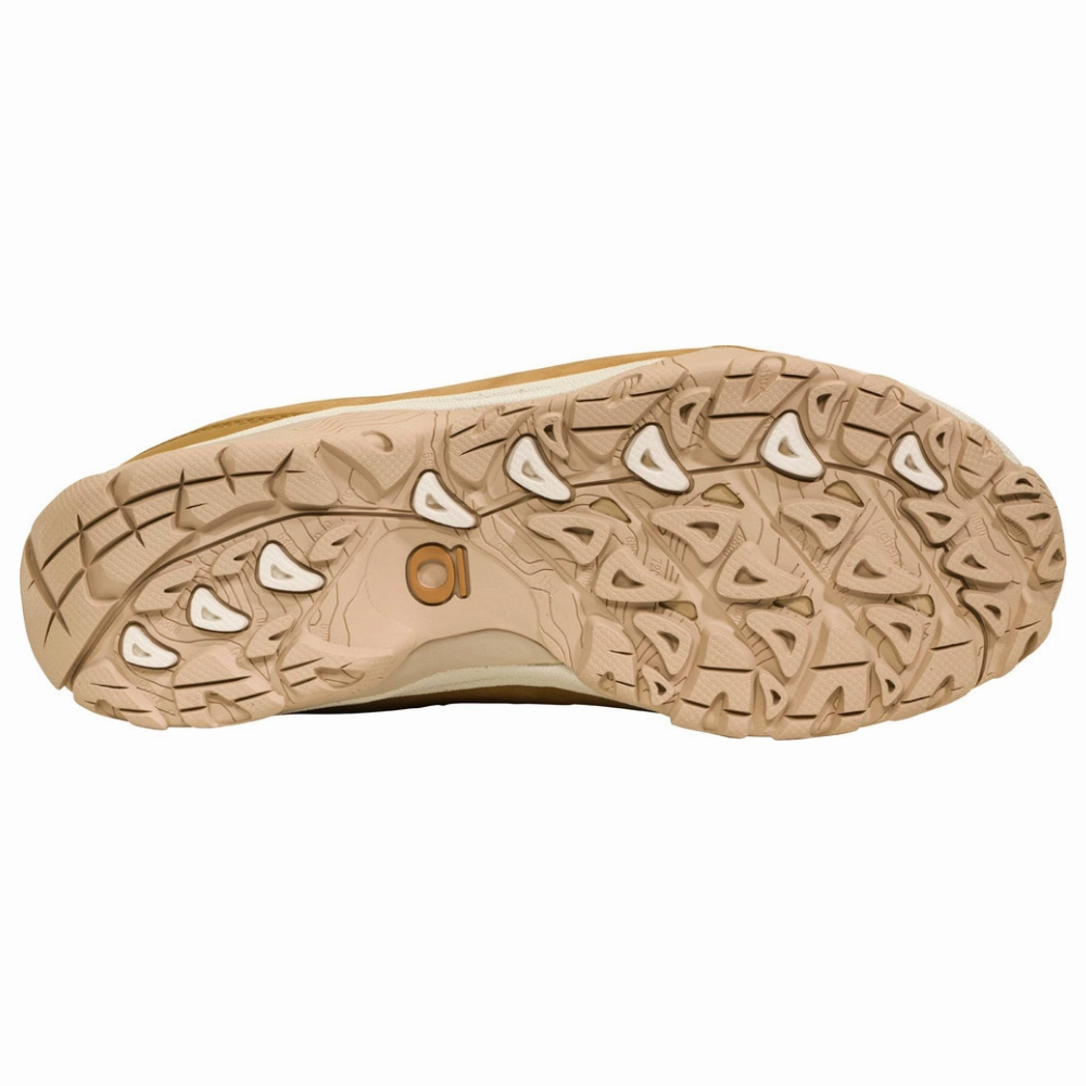 Ax2 Hiking Oboz Ousel Low Rye Waterproof Hiking Shoe (Women's)