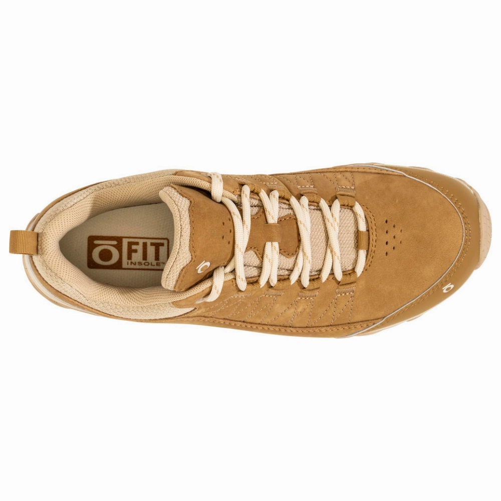 Hiking Shoes Boa Oboz Ousel Low Rye Waterproof Hiking Shoe (Women's)