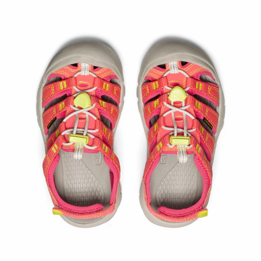 Little Kids' Newport Boundless Sandal  |  Dubarry/Evening Primrose Loom Waterproof Shoes