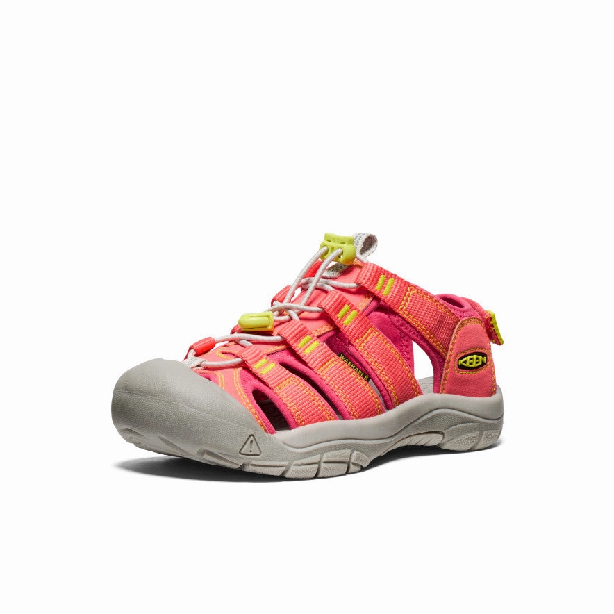 Big Kids' Newport Boundless Sandal  |  Dubarry/Evening Primrose Best Running Shoes