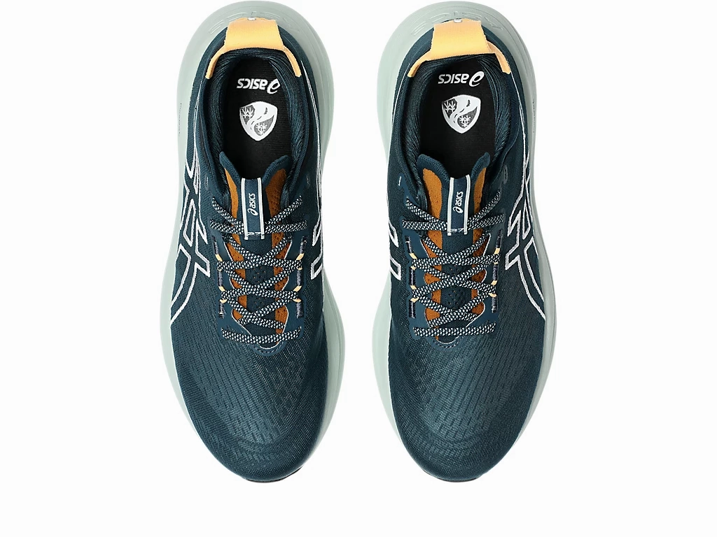 Men's Asics Gel-Nimbus 27 TR - NATURE BATHING/TRANQUIL TEAL Military Discount